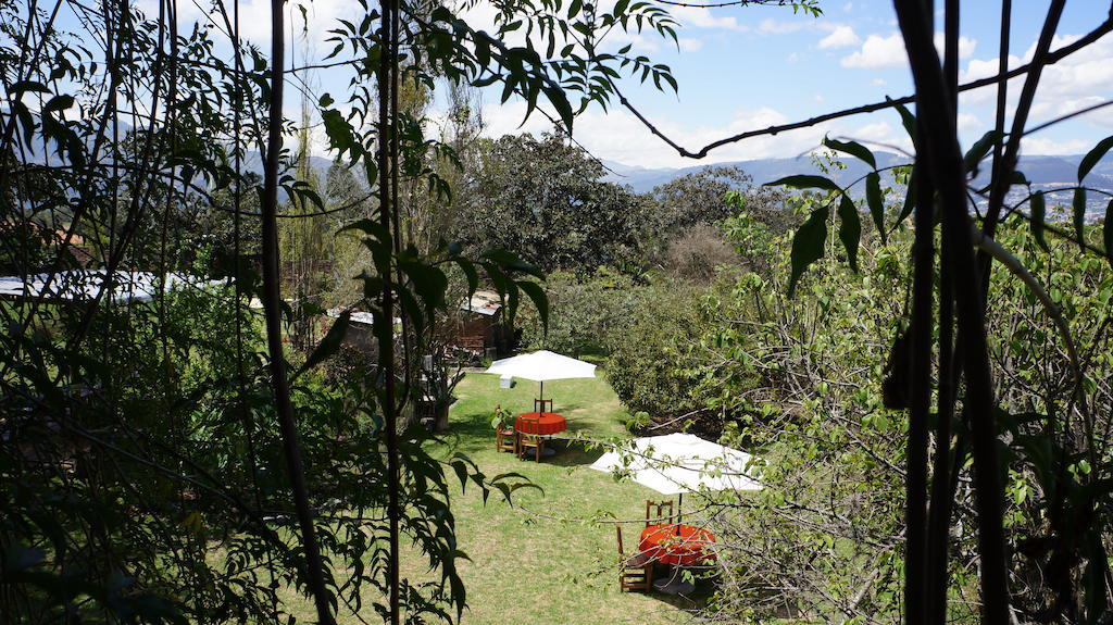 La Casa Del Tilo Hacienda Santa Rosa Bagian luar foto